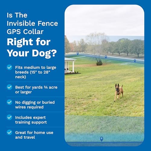 INVISIBLE FENCE Brand GPS Collar + Tracking, 3/4 Acre +