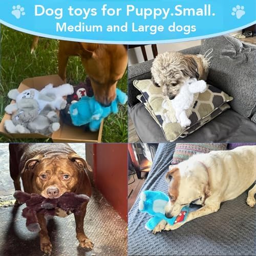 Bzonsmart Dog Squeaky Toys Plush Chew Toys for Small Medium Large Dogs