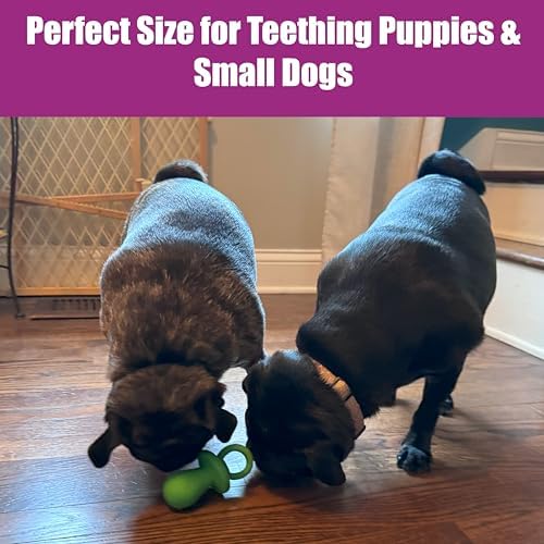 SPOT Puppy Pacifier Latex Dog Toy – Soft Binky-Shaped Chew for Teething Puppies & Small Dogs, 4.5 Inch, for Light Chewers Only, Squeaky Natural Latex, Assorted Colors