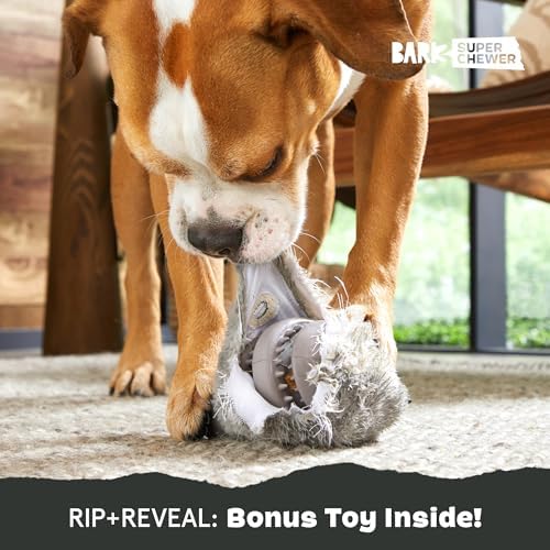 BarkBox Hare Raiser Super Chewer - 2-in-1 - Toy for Medium to Large Dogs