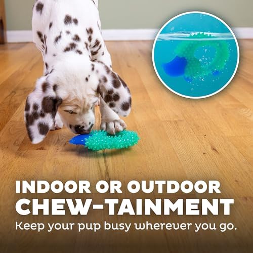 Cutie Chewies Hedgehog Dental Dog Chew Toy, Bounces & Floats, 5"