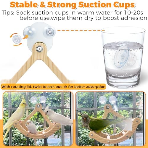 Rocking Bird Toys Perch for Window and Cage, Wooden Bird Perch Puzzle