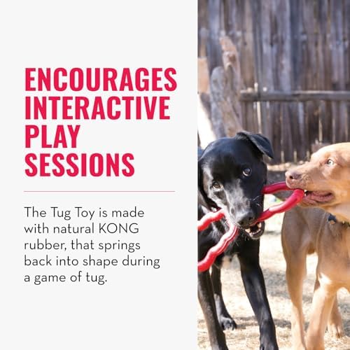 KONG Tug Toy, Natural Rubber Dog Toy for Tug of War, for Medium/Large Dogs