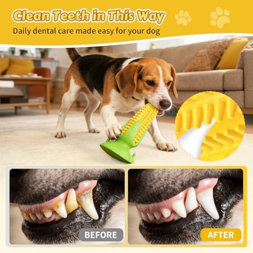 Dog Chew Toys Floating Squeaky Toy