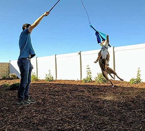 Flirt Pole for Dogs - Extendable Flirt Pole with 2pcs Fleece Lure Tugs for Dog Outdoor Entertainment, Train and Exercise, New Coffee