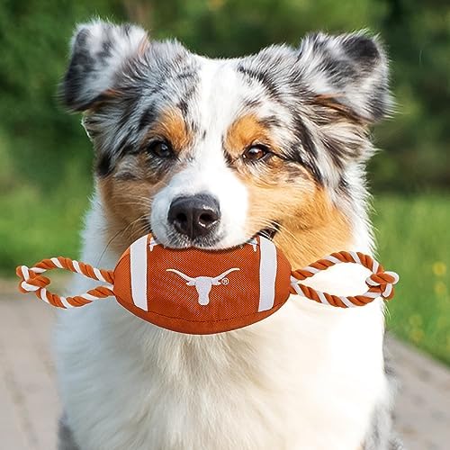 Pets First NFL Unisex NFL Nylon Football
