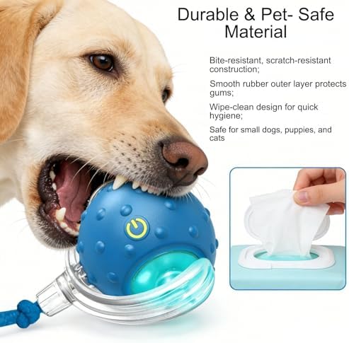2PCS Tiny Fetch Interactive Dog Cat Toy Ball - 360° Automatic Scrolling with Birdsong, Fast Moving Balls Toys for Pets, Smart Obstacle Avoidance, Rechargeable Boredom Buster for Pets (Blue+Red)