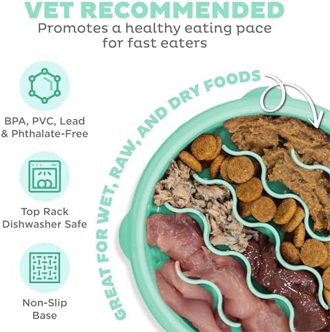 Outward Hound Fun Feeder Slo Bowl – Small 3/4-Cup Capacity, Slow Feeding, Small Dogs, Puppies & Cats, Non-Slip, Mint, Wave Pattern