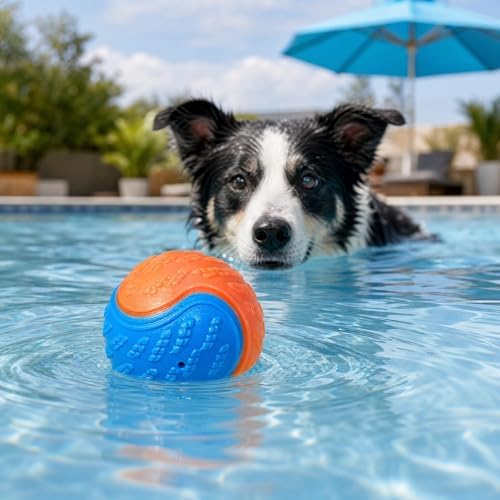 6Pcs Glow Rubber Dog Balls, 2.5 Inch for All Dogs