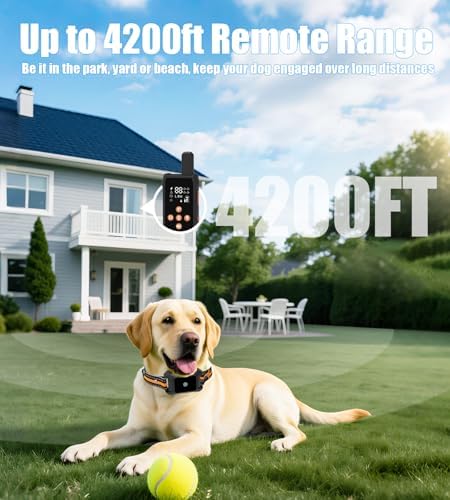 Dog Training Collar with Remote 4200FT 2 Dogs - Shock Collar for Barking Control, 4 Modes(Beep/Vibe/Static), IPX7 Waterproof for Swimming, 30-Day Rechargeable Battery, Adjustable for Small to XL Dogs