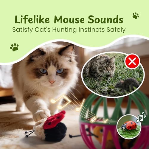 Cat Toys for Indoor Cats - Interactive Ball Cage Cat Toy with Realistic Insect Sounds & 2 Catnip Plush Toys, Motion-Activated Hunting Simulation Toy for Cats