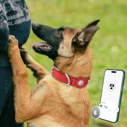 Leather Dog Collar with Airtag Holder - Apple Air Tag Dog Collars - Soft Tracking GPS Pet Collar for Small Medium Large Dogs Breed Puppy (Red, L, 15"-19" Neck Fit)