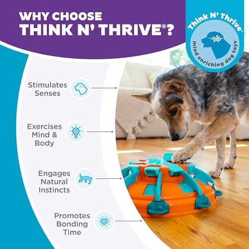 Outward Hound Nina Ottosson Tower of Treats Dog Toy Treat Puzzle, 12.5" | Level 4 Expert, 28 Hidden Treat Compartments, Multi-Level Challenge, Easy Clean, No BPA, Enrichment, Medium-Large Dogs