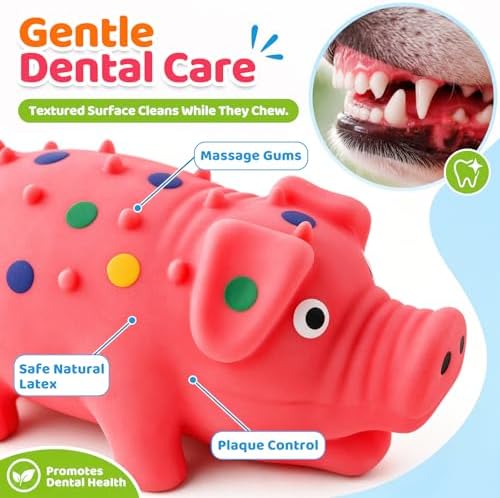 POPLAY 3 PCS Squeaky Latex Grunting Pig Dog Toys, 4 Inch Durable Rubber