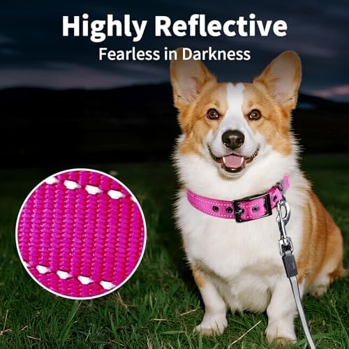 Segarty Reflective Pink Dog Collar Girl for Dogs Neck 14.5-18.9in, Adjustable Wide Soft Comfortable Breathable Neoprene Padded Nylon Collar with Heavy Duty Metal Buckle for Medium Small Breeds (M)