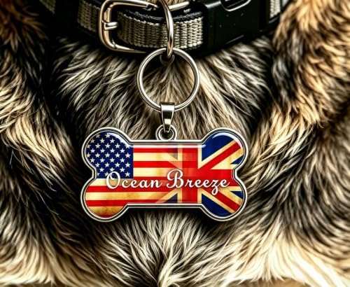 HSIAHOU Custom Pet ID Tags, Personalized Dog Tag Cat Tag(EU-US)