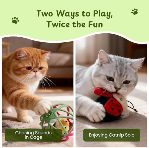 Cat Toys for Indoor Cats - Interactive Ball Cage Cat Toy with Realistic Insect Sounds & 2 Catnip Plush Toys, Motion-Activated Hunting Simulation Toy for Cats