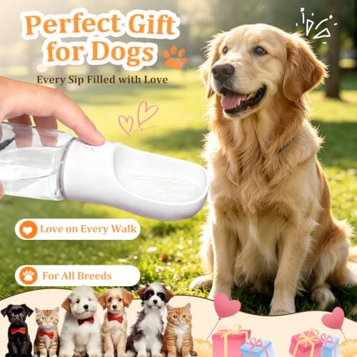 Portable Dog Water Bottle with Food Container, White, 19oz