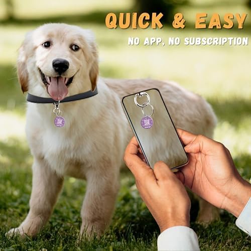 tag8 QR Code ID Tag for Dogs & Cats, Real-Time Scan Alerts, Online Pet Info Access, No Subscription or Fees, Durable Pet Tag for Collars - Purple