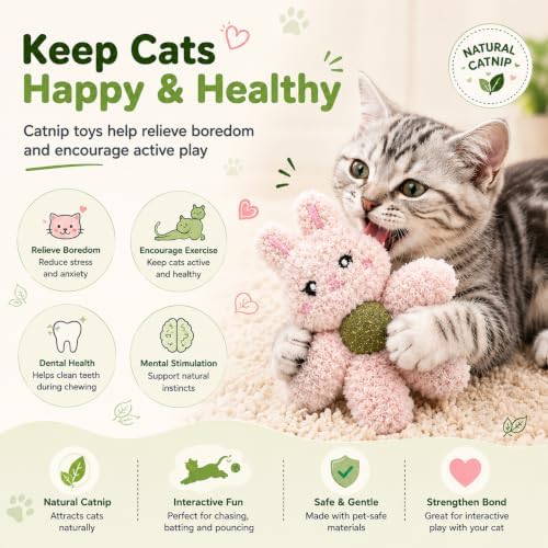 Cat Toys with Catnip Kitten Chew Bite Supplies Boredom Relief Fluffy Kitty Teeth Cleaning Chewing Cat Lovers Interactive Plush Gift (Tiger&Bear)