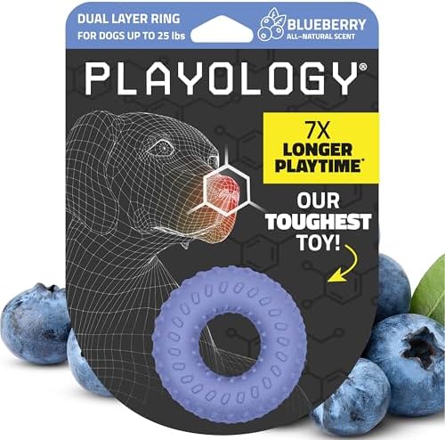Playology Dual Layer Ring Dog Toy for Aggressive Chewers, Blueberry Scent
