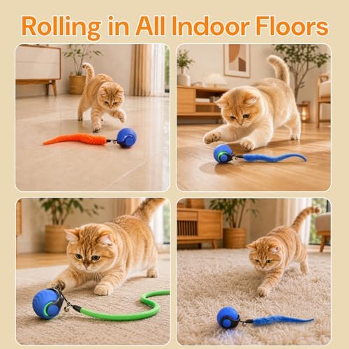 Interactive Cat Toys with Bird Sounds & 3 Speed Modes for Indoor Cats Play | Bird Sounds, 3 Speed Modes, 3 Tails, Rechargeable Automatic Rolling, Fast Charging Ball, For Indoor Cats on Hard Floor Carpet