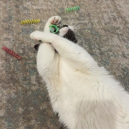 SPOT Colorful Springs Cat Toys – 3" Bouncy Coils for Indoor Cats & Kittens to Swat, Chase & Bite, Safe Lightweight Plastic, Interactive Enrichment Toys, 10-Pack Multi-Color