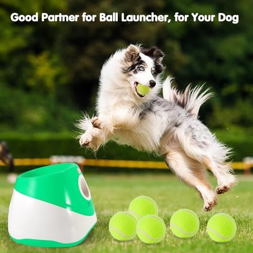 MEKAPLE 6 Pack Mini Tennis Balls for Pet Playing Fecth, 2 inch Dogs Training Tennis Balls for Small Size Dogs, Interactive Dog Playing Balls Fits 2 inch Automatic Dog Ball Launcher