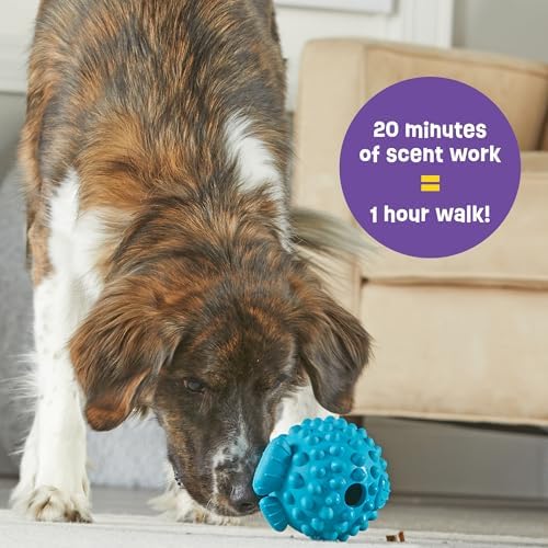 Brightkins Tough & Tumble Treat Dispenser Large Pufferfish - Interactive Dog Toys, Dog Treat Dispenser Toy, Puppy Training Toys, Durable Puzzle Balls for Dogs, Enrichment Slow Feeder Ball