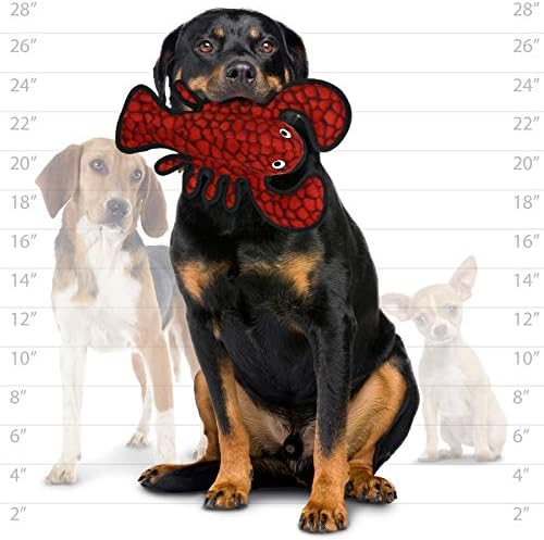 TUFFY® : 2 Pack Lobster Starfish Dog Toy: Ultra Durable Plush Toy with Multiple Layers & Reinforced Seams, Washable and Floats, Original Construction