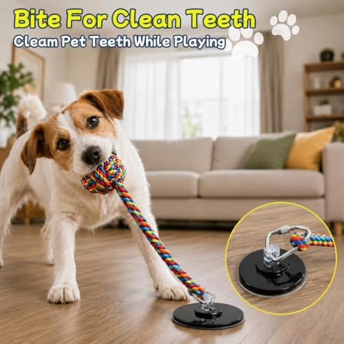 Dog Rope Toys for Aggressive Chewers, Strong Suction Base, Interactive Dog Toys to Keep Busy, Tough Tug of War Dog Toys for Large, Medium & Small Dogs (Multicolored, Suction)