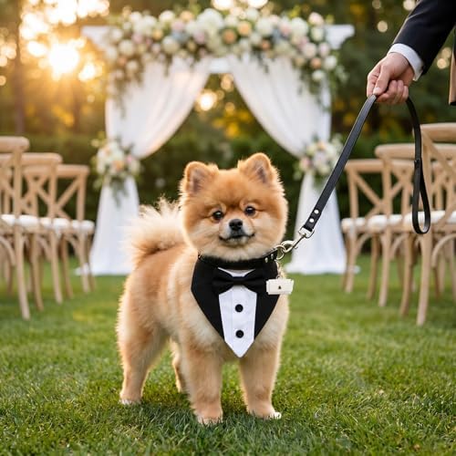 4PCS Dog Wedding Collar Outfit with Dog Tuxedo Leash Collar Ring Bearer Box, Dog Wedding Costume Ring Holder for Medium Large Dogs