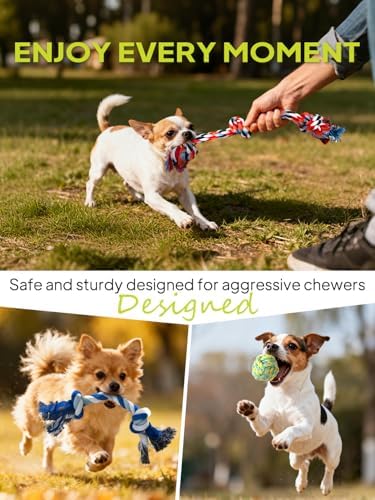 TwoEar Dog Rope Toy 9 Pack - Puppy Teething Toys for Small Medium Breed