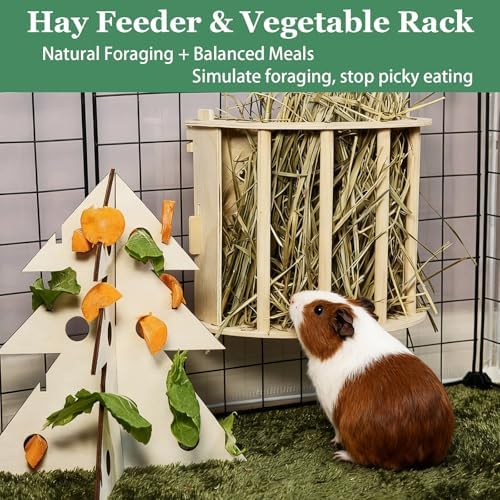 Guinea Pig Hay Feeder Wooden Rabbit Hay Rack Bunny Treat Holder Vegetable Dispenser Foraging Toy Cage Accessories for Chinchillas Small Animals