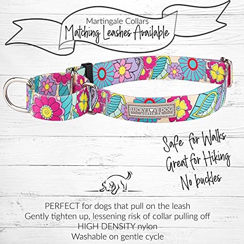 Lucky Love Dog Martingale Collar for Medium Dogs No Slip – Caroline, Medium