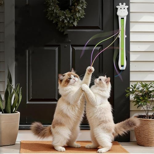 Electric Cat Toy USB Rechargeable Wall-Mount Interactive Pet Games