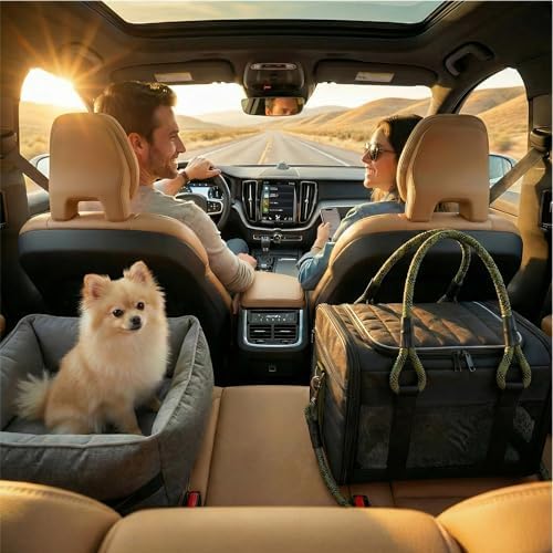 Soft-Sided Pet Carrier, Black Green, 19.7 x 11.8 x 11.4 in