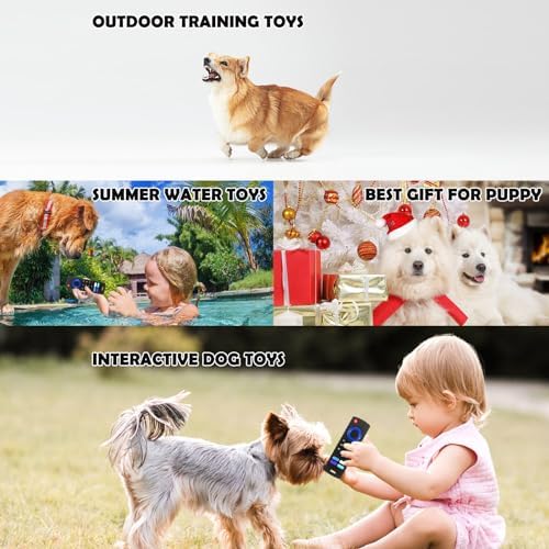 Puppy Toys for Teething, Remote Control Teether for Small Dogs,Puppy Teething Toy for Boredom & Stimulation,BPA-Free (Black)