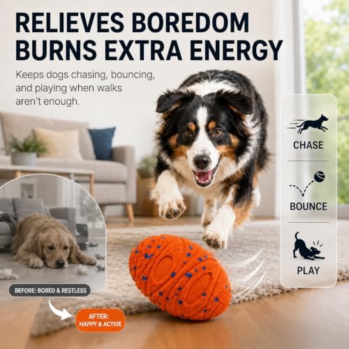 Interactive Dog Ball for Medium & Large Dogs, E-TPU Football Toy