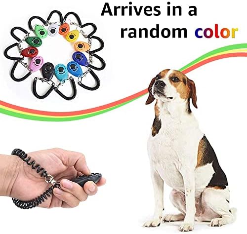PetSpy P620 Dog Training Shock Collar for Dogs with Vibration, Electric Shock, Beep; Rechargeable and Waterproof Remote Trainer E-Collar - 10-140 lbs (Two Dogs - Bundle)