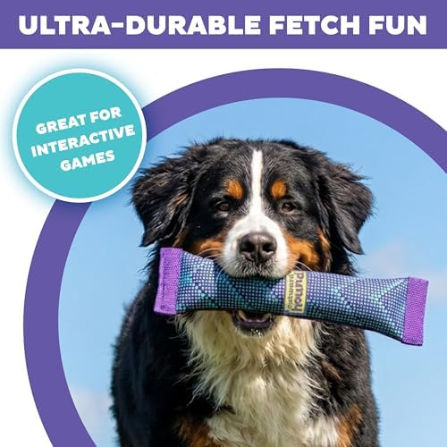 Outward Hound FlyFetch Firehose Fetch Ultra-Durable Dog Toy with Squeaker, Floats in Water, All Breeds, 16"