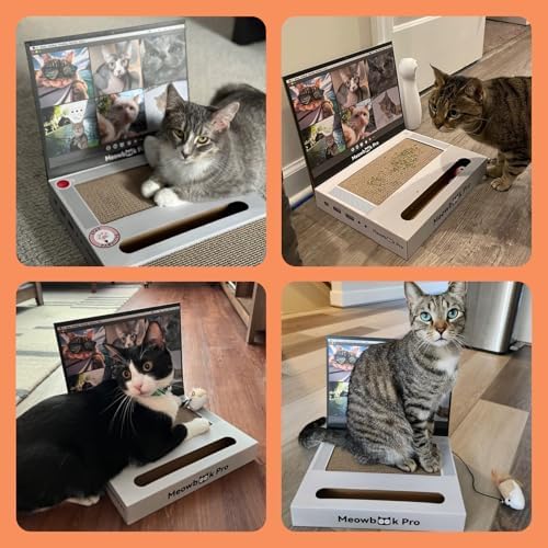 2PCS Cat Scratcher Laptop with 'Mouse' Jingle Ball, Stickers, 3-in-1 Cardboard Cat Interactive Toy, Kitten Toy & Cat Scratching Pad