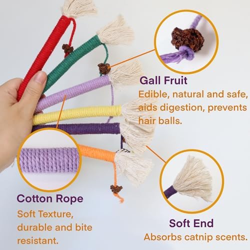Kitten Toys, Cat Chew Toy for Teeth Cleaning, Catnip Rope Toys for Indoor Kittens, Interactive Cat Nip Teething Toys for Cats, Kitty Kicker Toy, 6 Pack (Plus 3 Pouches of Catnip)