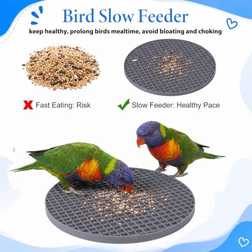 2Pcs Bird Slow Feeder Mats Bird Foraging Toys