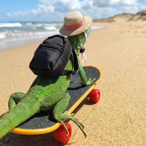 3 Pack Bearded Dragon Toy Set Includes a Bearded Dragon Backpack, an Adjustable hat, and a mini Skateboard Toy, for Small Reptile Pets Such as Lizards, Hamsters, Parrots, and Turtles.（Black）