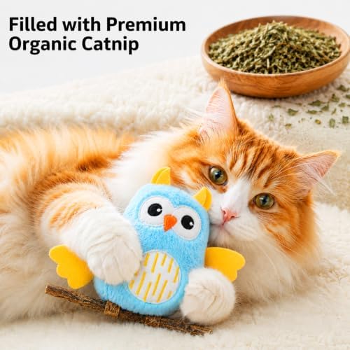 DODODOLA 2 PCS Interactive Cat Toys for Indoor Cats Owl Kitten Toys with 100% Pure Organic Catnip and Movable Silvervine Sticks Kittens Kitty Anxiety Relief Soft Cute Teething Chew Toys (Blue+Pink)