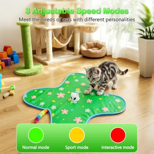 Interactive Cat Toys for Indoor Cats, Rechargeable Hide & Seek Toy