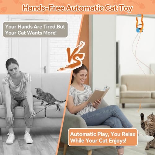 ALL FOR PAWS Interactive Cat Toy for Indoor Cats, Automatic Door Hanging Feather Wand Toy, USB Rechargeable Self-Playing Cat Toys for Adult Cats & Kittens, Boredom Relief & Enrichment