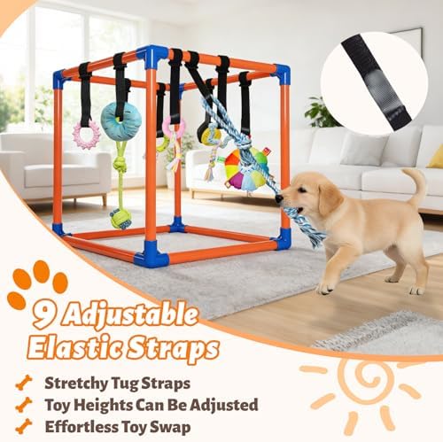 Puppy Play Gym with 9 Hanging Toys for Small Dogs, PVC Frame with Bungee Straps, Interactive Indoor Jungle Playground for Entertainment, Teething and Mental Stimulation