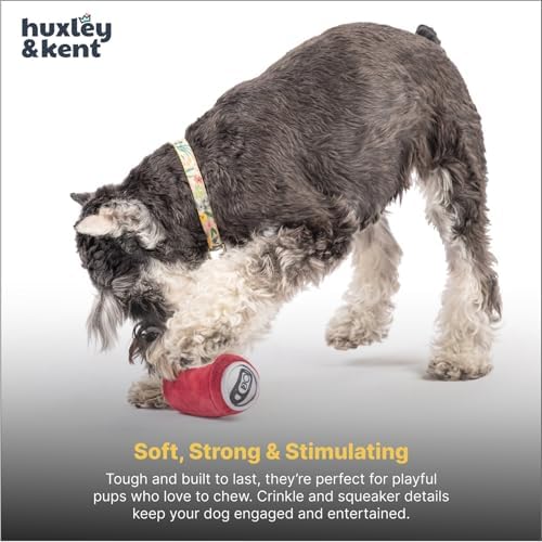 Huxley & Kent Funny Dog Toy w/Squeaker – Power Plush Squeaky Dog Toys for Small Dogs – Durable Small Stuffed Animal for Indoor Play & Fetch - Tiny Tuff Dr Pooper